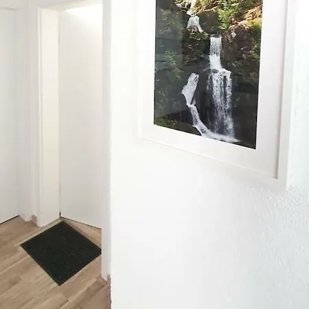 H-apartment 2 * Triberg im Schwarzwald