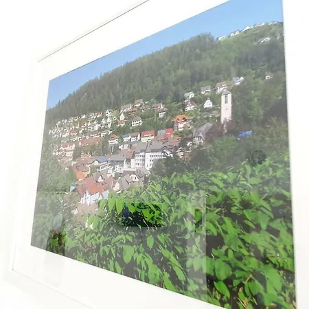 H-apartment 2 * Triberg im Schwarzwald