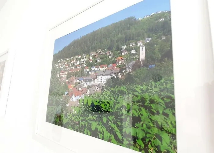 H-apartment 2 * Triberg im Schwarzwald